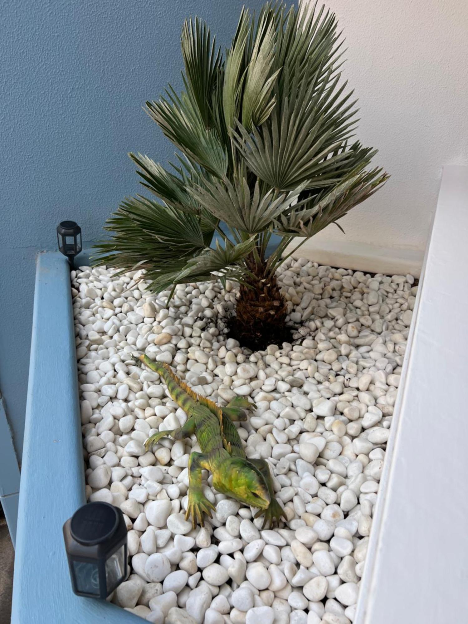 Air Conditioning, Private Parking And Fully Equipped Kitchen In Hotel Room In Golf Del Sur, Tenerife San Miguel de Abona Eksteriør bilde